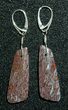 Gorgeous Agatized Dinosaur Bone (Gembone) Earrings #54081-6